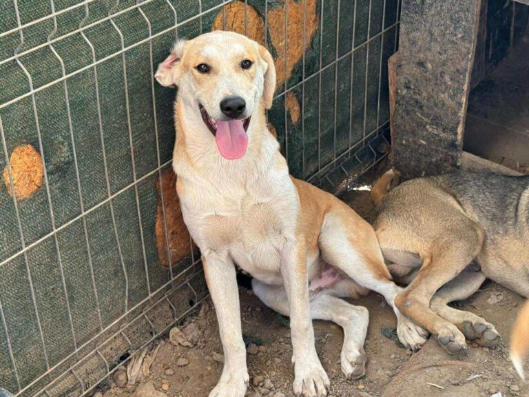 Received 794915359749030