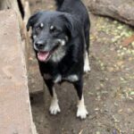 Received 795324409785895