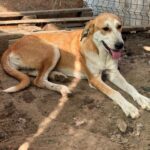 Received 801778209477882