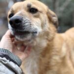 Received 805014125616392