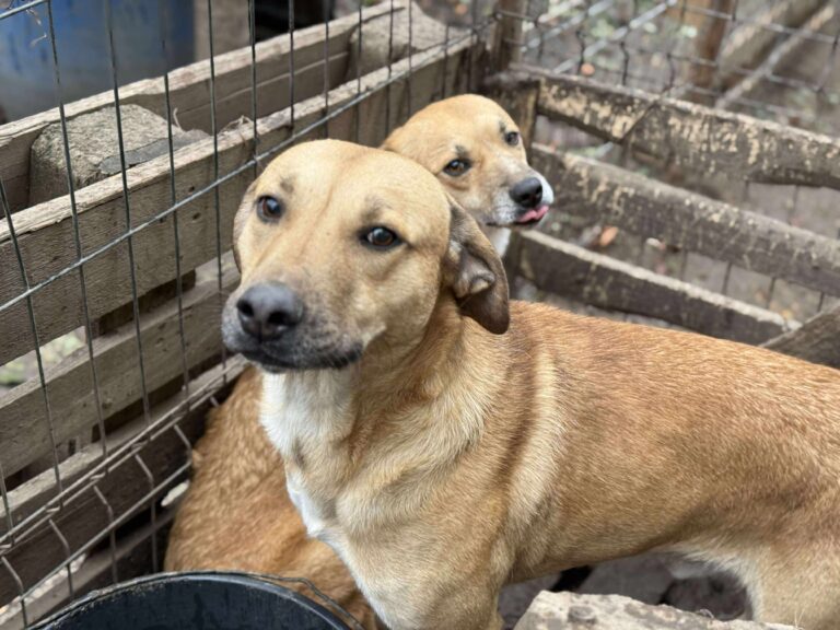 Received 815667857709232