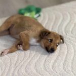 Received 830942929373949