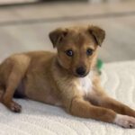 Received 834835482306599