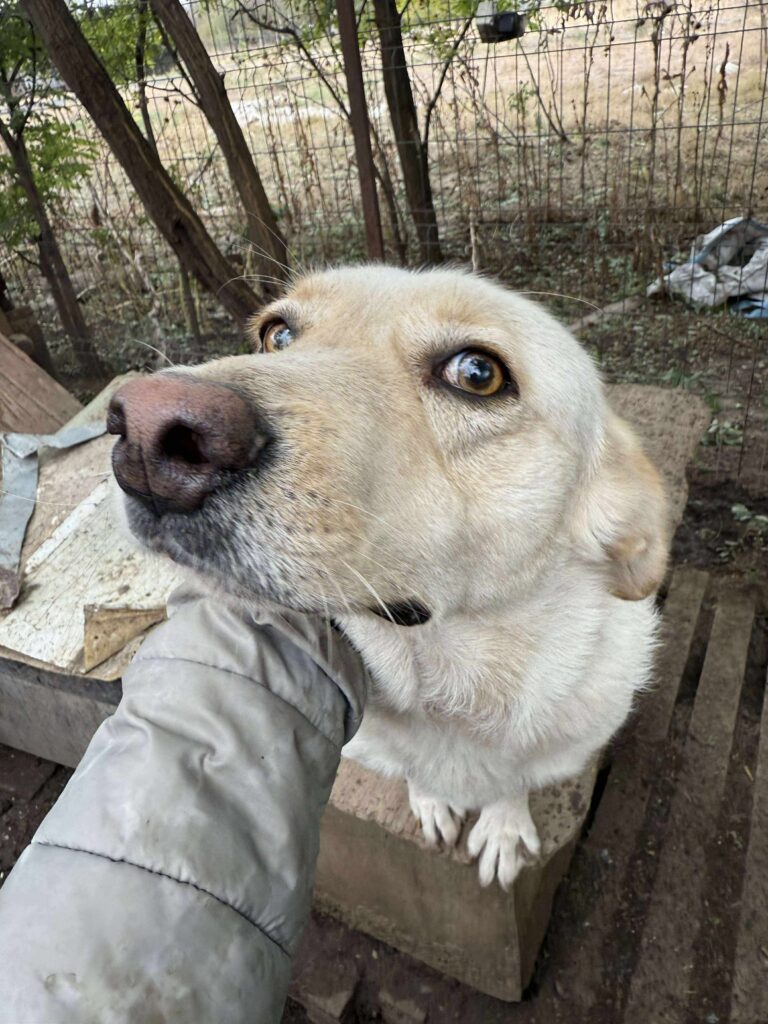 Received 839743188725399