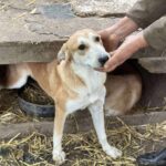 Received 991240679814345