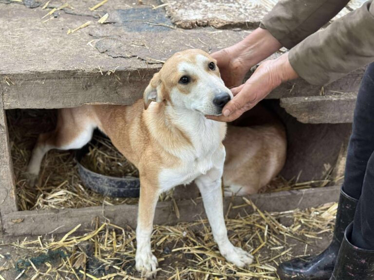 Received 991240679814345