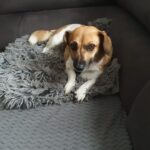 09089e25 6a0e 4689 b05b 38e59891a494