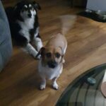 30bc5105 bace 4e2a a486 c44f8acab3a1