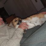 3d9fd496 12a8 4dcf 8fda a7cc242274a4