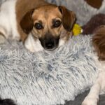 520cb99e d6ab 4ce0 ac04 5db4417dfa31