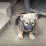 Fb img 1761981721150