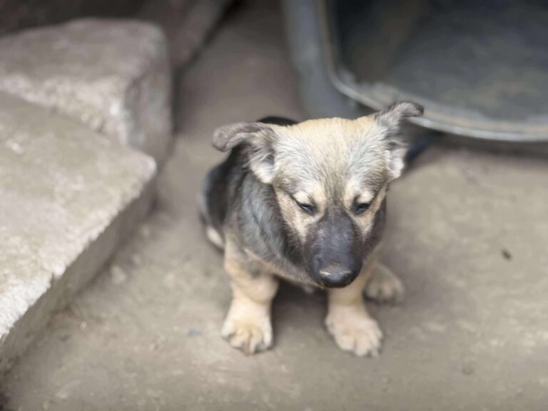 Fb img 1761981721150