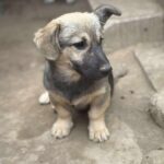 Fb img 1761981725597