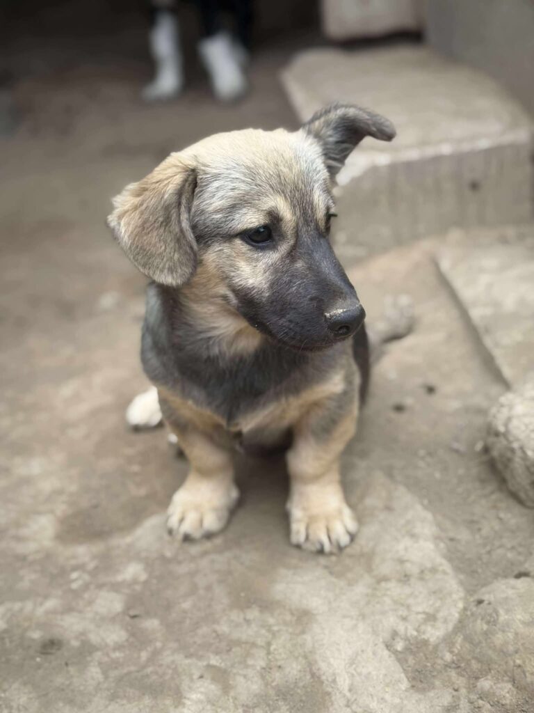 Fb img 1761981725597