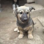 Fb img 1761981728007