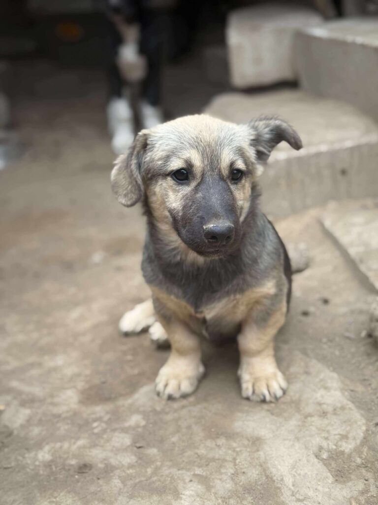 Fb img 1761981728007