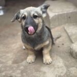 Fb img 1761981730316