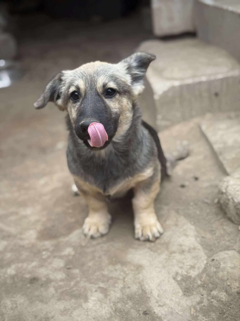 Fb img 1761981730316