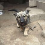 Fb img 1761981733294