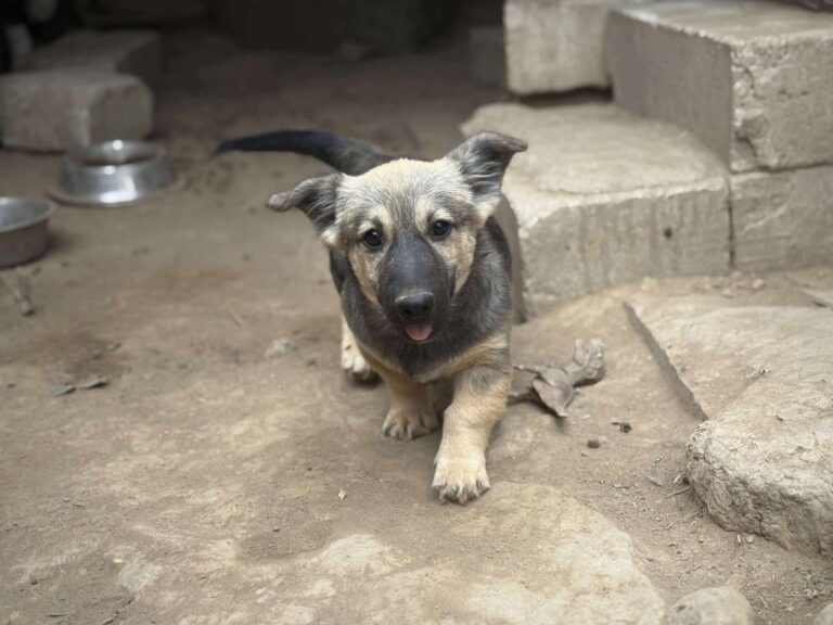 Fb img 1761981733294