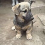 Fb img 1761981735705