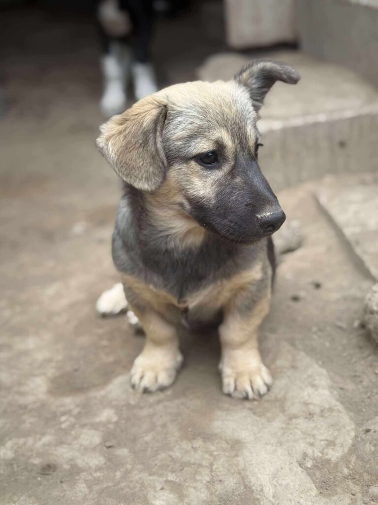 Fb img 1761981735705