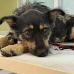 Fb img 1762151287326