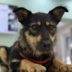 Fb img 1762151292919