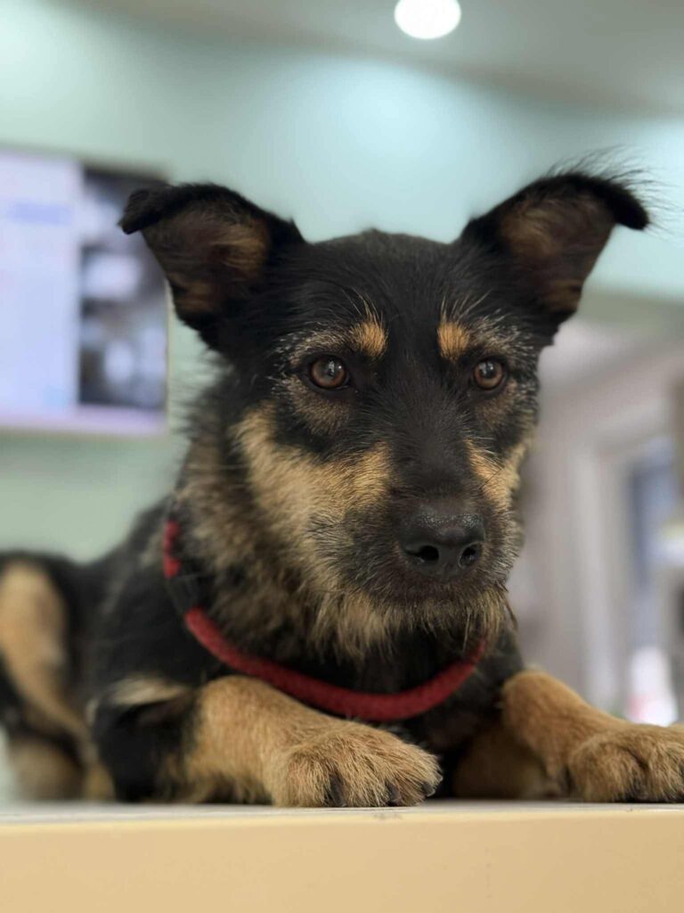 Fb img 1762151292919