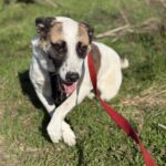 Fb img 1762849528119