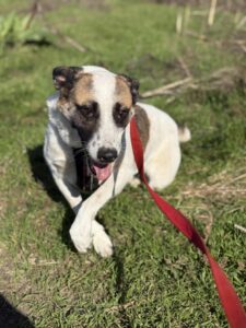 Fb img 1762849528119