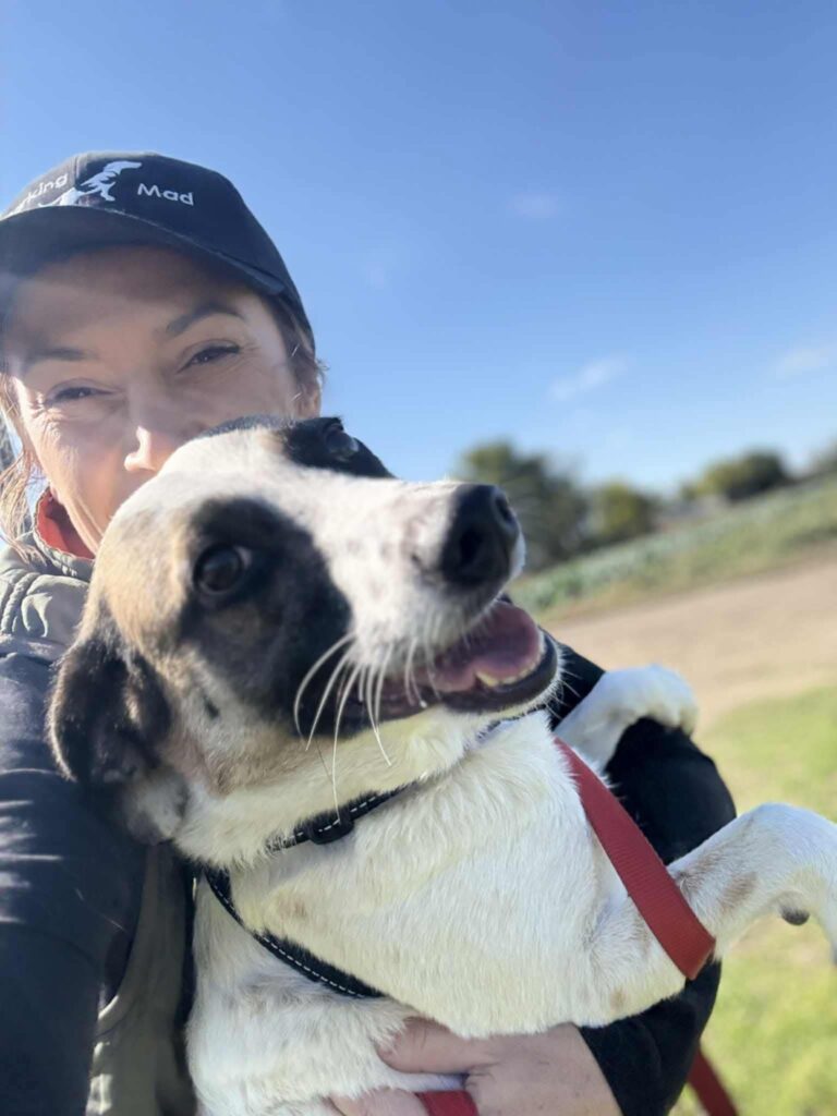 Fb img 1762849530651