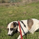 Fb img 1762849542647