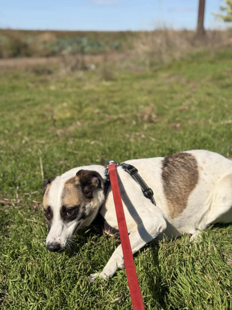 Fb img 1762849542647