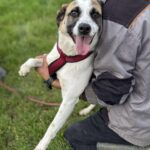 Fb img 1762849831141