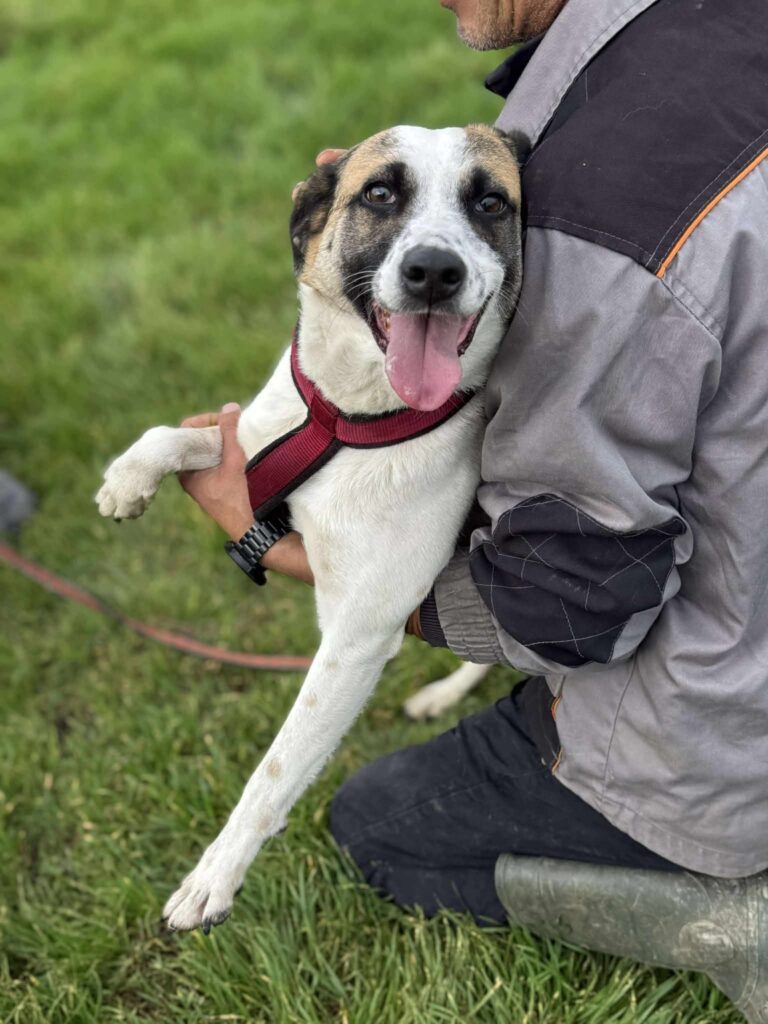 Fb img 1762849831141