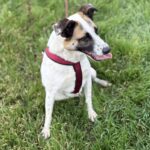 Fb img 1762849836827