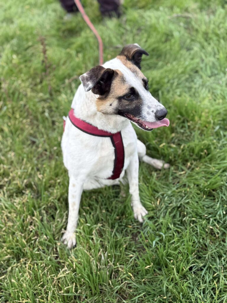 Fb img 1762849836827