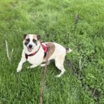 Fb img 1762849839596