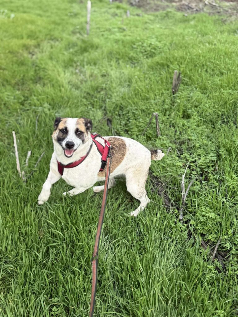 Fb img 1762849839596