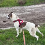 Fb img 1762849843047