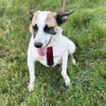 Fb img 1762849845441