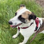 Fb img 1762849852755