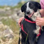 Fb img 1764407695494