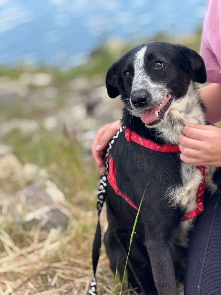 Fb img 1764407695494