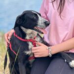 Fb img 1764407702123