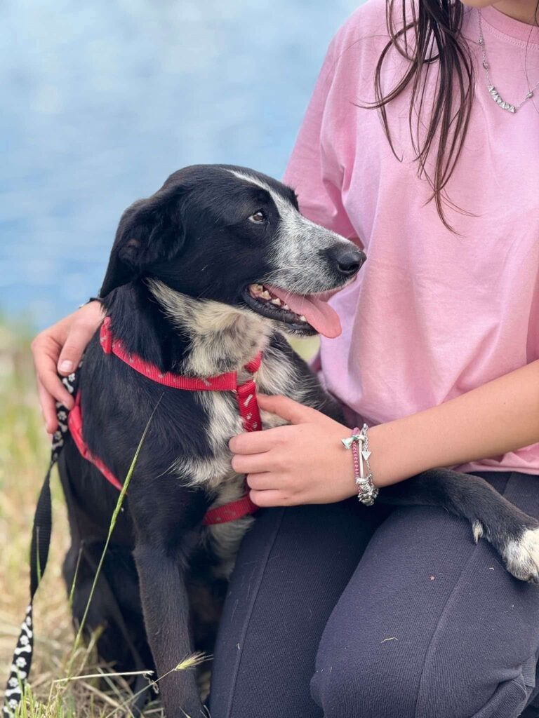 Fb img 1764407702123