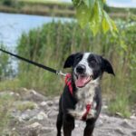 Fb img 1764407706499