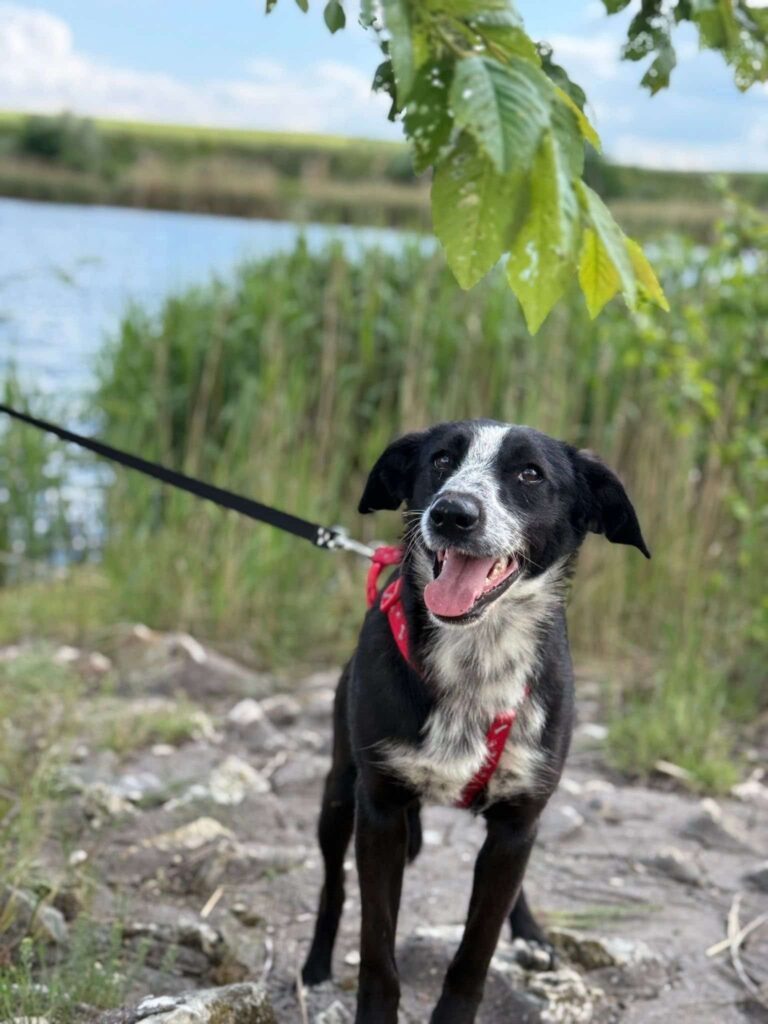 Fb img 1764407706499