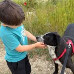 Fb img 1764407723315